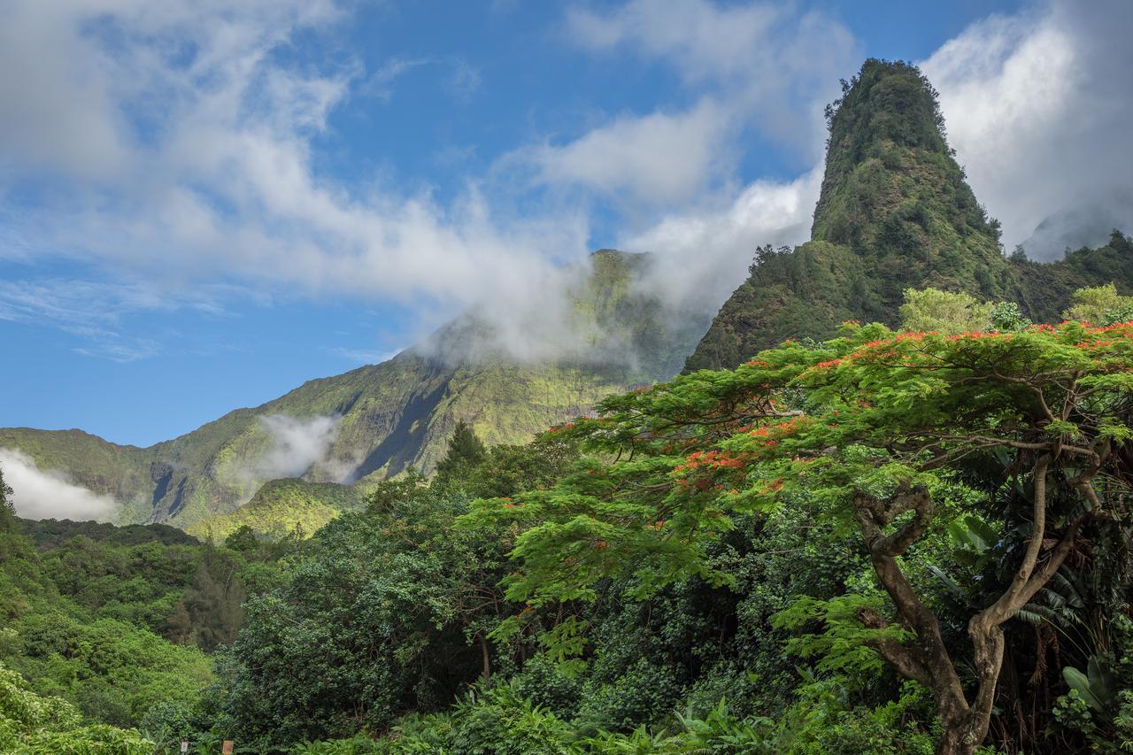 Central Maui Hostel Wailuku ภายนอก รูปภาพ